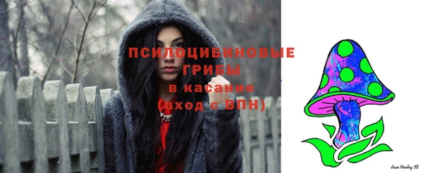 дживик Снежногорск