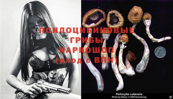 прущая мука Грязовец