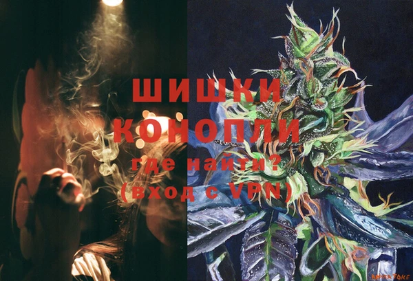 дживик Снежногорск
